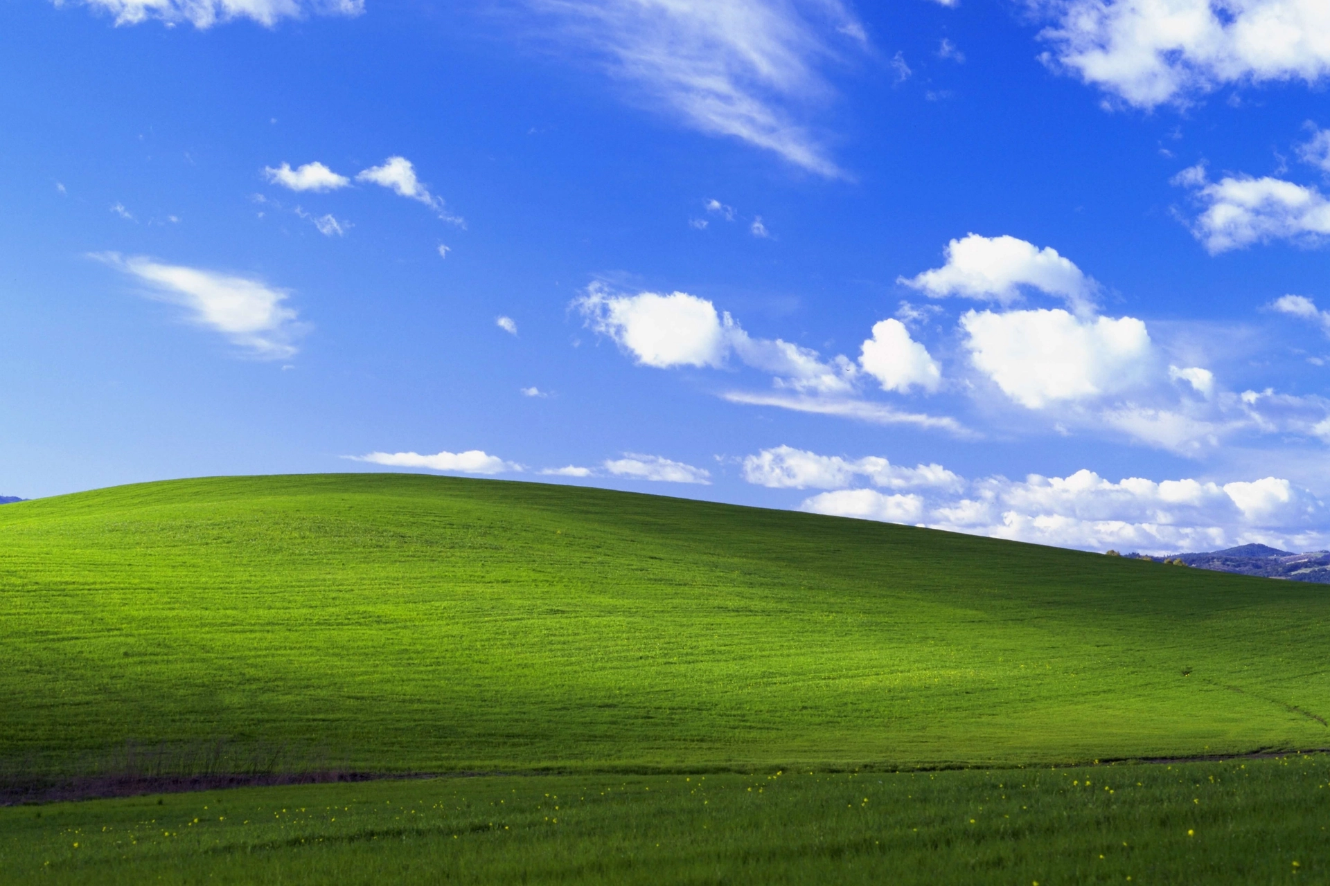windowsXP